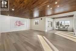 Rec room- Basement - 