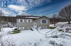 15 Indian Meal Line  Torbay, NL A1K 1B3