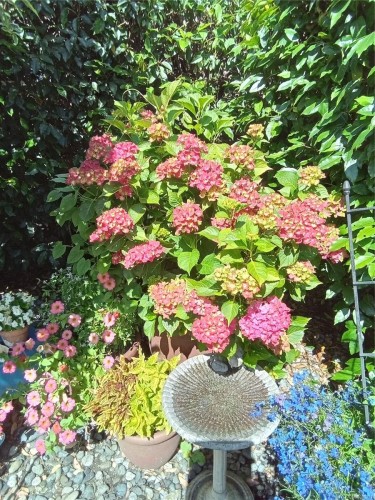 7952 Polo Park Cres, Central Saanich, BC 