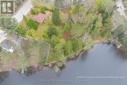 24 MAIN STREET  Kearney, ON P0A 1M0