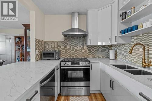 301, 305 25 Avenue Sw, Calgary, AB - Indoor Photo Showing Kitchen With Double Sink With Upgraded Kitchen