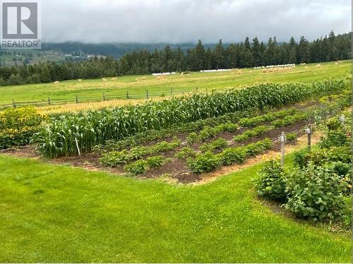 10281 Lee Road, Williams Lake, BC - Outdoor With View