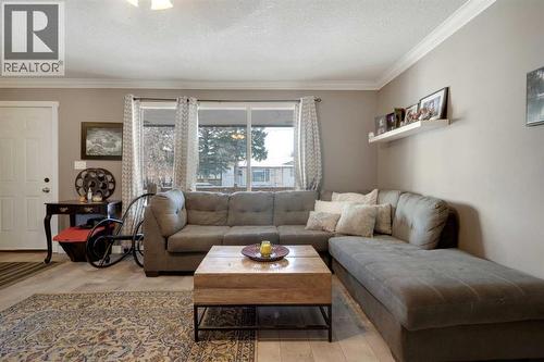 312 Pinegreen Close Ne, Calgary, AB - Indoor Photo Showing Living Room