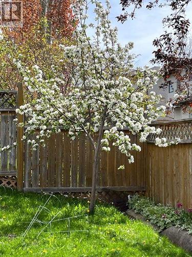 30 Tuscarora Way Nw, Calgary, AB - Outdoor