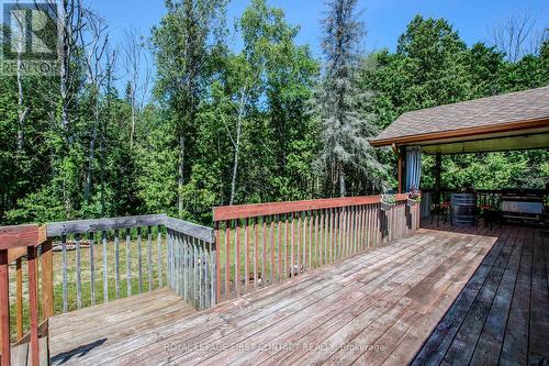 5144 25Th Siderd, Essa, ON - Outdoor With Deck Patio Veranda