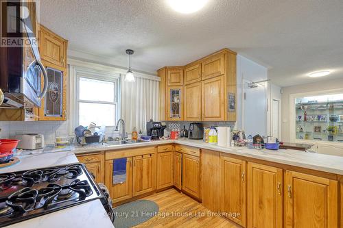 719 Peel Street, Woodstock (Woodstock - South), ON - Indoor Photo Showing Kitchen With Double Sink