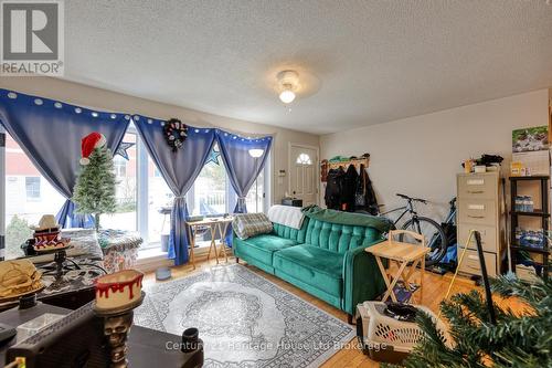 719 Peel Street, Woodstock (Woodstock - South), ON - Indoor Photo Showing Living Room