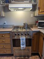 Propane Convection Oven - 