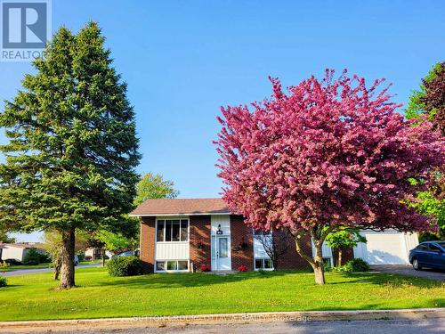 941 Jerome Street, Hawkesbury, ON - Outdoor