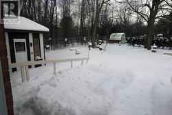 Backyard - Large decking - Huge shed - 