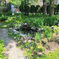 Pond number 2 - Backyard - 