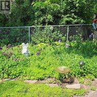 Garden in backyard - 