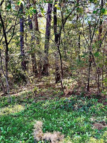 2 Oakwood Drive, Kawartha Lakes (Fenelon Falls), ON - Outdoor