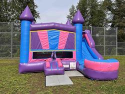 1561 CONFIDENTIAL STREET  Surrey, BC V4C 4C1