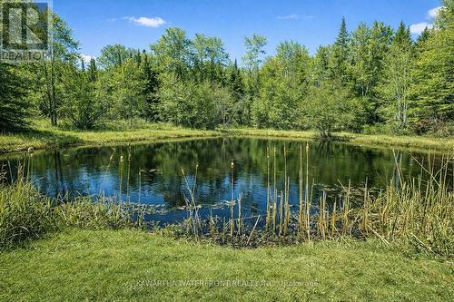 Private Pond - 1170 English Circle, Highlands East (Glamorgan), ON - Outdoor With Body Of Water With View
