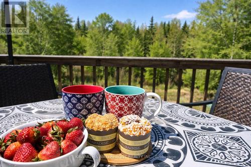 Breakfast overlooking the Pond and Forest - 1170 English Circle, Highlands East (Glamorgan), ON - Outdoor