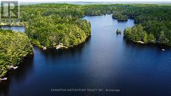 Tamarack Lake - 