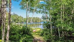 Pathway to private waterfront - 