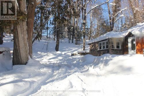 47 Riverside Drive, Dysart Et Al, ON - Outdoor