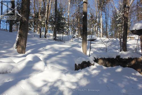 47 Riverside Drive, Dysart Et Al, ON - Outdoor With View