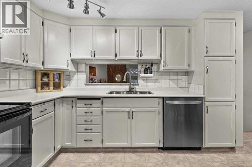 505, 3131 63 Avenue Sw, Calgary, AB - Indoor Photo Showing Kitchen With Double Sink
