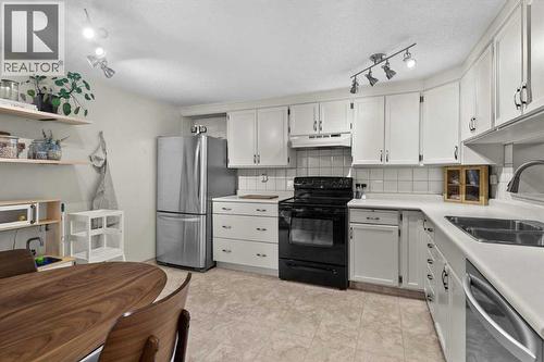 505, 3131 63 Avenue Sw, Calgary, AB - Indoor Photo Showing Kitchen With Double Sink