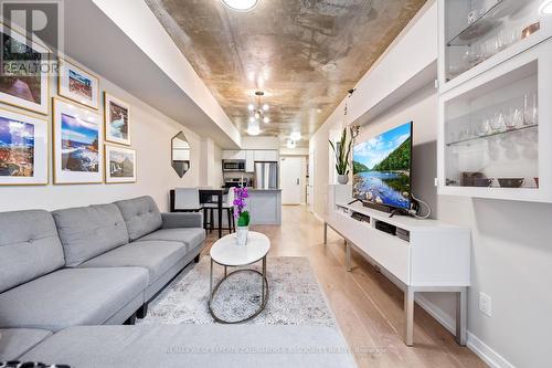 315 - 59 East Liberty Street, Toronto, ON - Indoor Photo Showing Living Room
