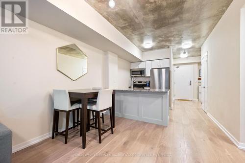 315 - 59 East Liberty Street, Toronto, ON - Indoor