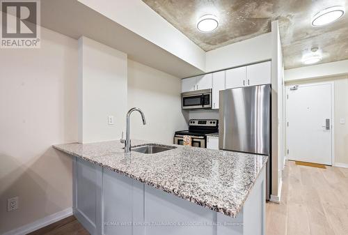 315 - 59 East Liberty Street, Toronto, ON - Indoor Photo Showing Kitchen With Upgraded Kitchen