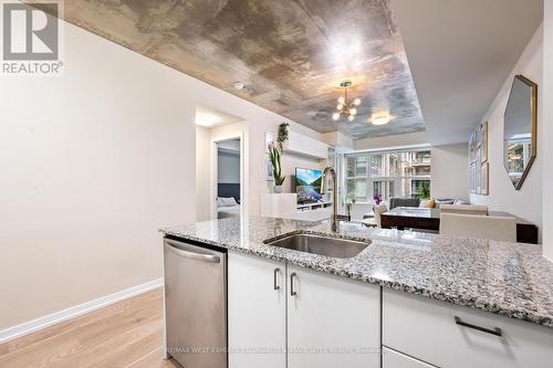 315 - 59 East Liberty Street, Toronto, ON - Indoor Photo Showing Kitchen With Upgraded Kitchen