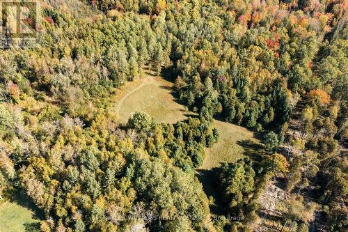 11601 Concession 3 Road, Uxbridge, ON - Outdoor With View