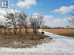 246, 181043 HWY 550  Bassano, AB T0J 0B0