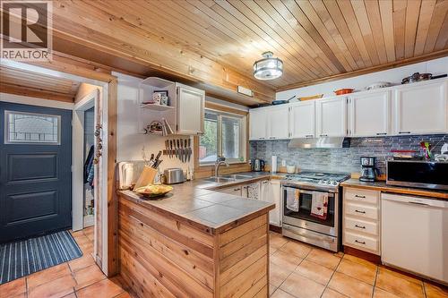 4453 Passmore Upper Road, Passmore, BC - Indoor Photo Showing Kitchen With Double Sink