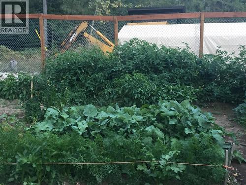 4453 Passmore Upper Road, Passmore, BC - Outdoor