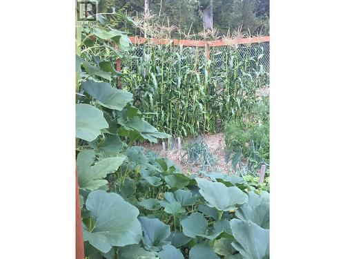 4453 Passmore Upper Road, Passmore, BC -  Photo Showing Bathroom