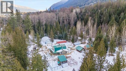 4453 Passmore Upper Road, Passmore, BC - Outdoor With View