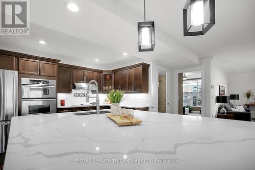 1206 - 250 Pall Mall Street, London East (East F), ON - Indoor Photo Showing Kitchen