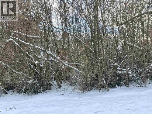 1410 Burden Street, Prince George, BC - Outdoor