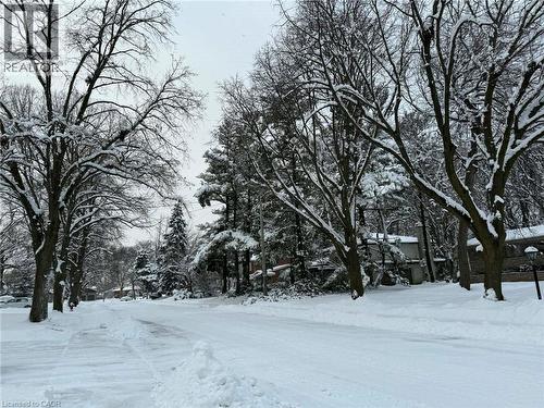 Winter views of the mature tree lined and sought after Woodside drive locale. - 29 Woodside Drive, Hamilton, ON - Outdoor