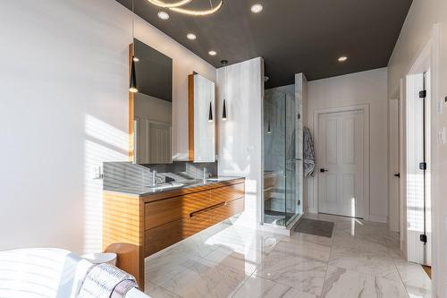 Ensuite bathroom - 182 Ch. Des Cerfs, Adstock, QC - Indoor