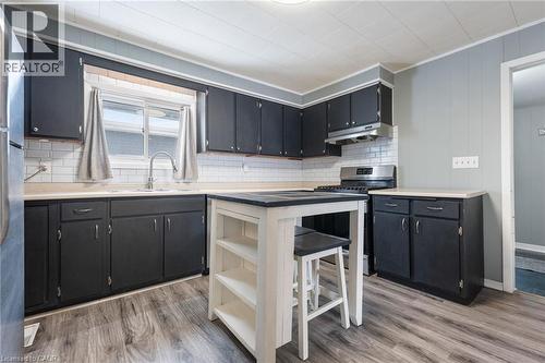 Kitchen featuring dark cabinets, stainless steel appliances, light wood-type flooring, decorative backsplash, and under cabinet range hood - 234 Head Street N, Simcoe, ON - Indoor Photo Showing Kitchen
