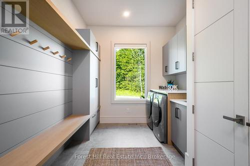 147 Blue Jay Crescent, Grey Highlands, ON - Indoor Photo Showing Laundry Room