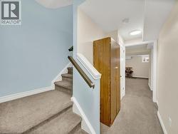 Stairway with carpet and baseboards - 