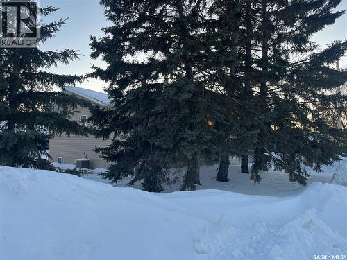 100 1St Avenue Sw, Wadena, SK - Outdoor