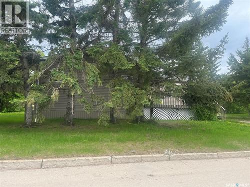 100 1St Avenue Sw, Wadena, SK 