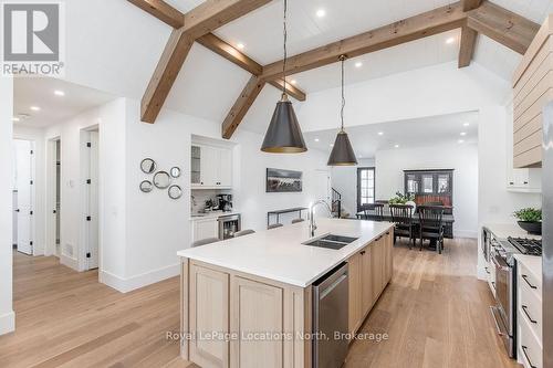 53 Niagara Street, Collingwood, ON - Indoor Photo Showing Kitchen With Double Sink With Upgraded Kitchen