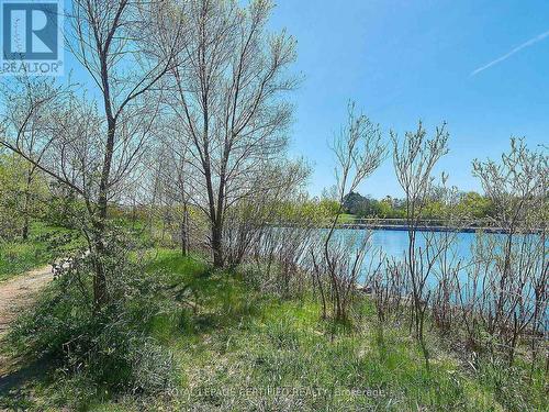 4701 - 20 Shore Breeze Drive, Toronto, ON - Outdoor With View