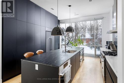 20A Woodlawn Avenue W, Toronto, ON - Indoor Photo Showing Kitchen With Upgraded Kitchen