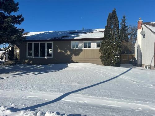 11 Portland Avenue, Winnipeg, MB - Outdoor