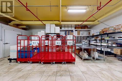 557 Dixon Road, Toronto, ON 